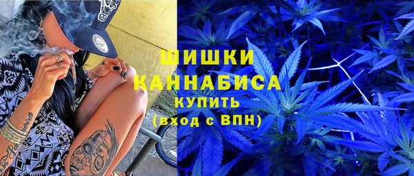 дурь Арсеньев