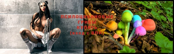 крисы Алексеевка