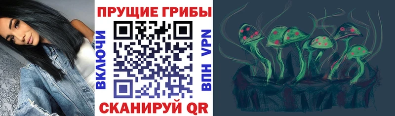 Галлюциногенные грибы Magic Shrooms  shop наркотические препараты  Аша 